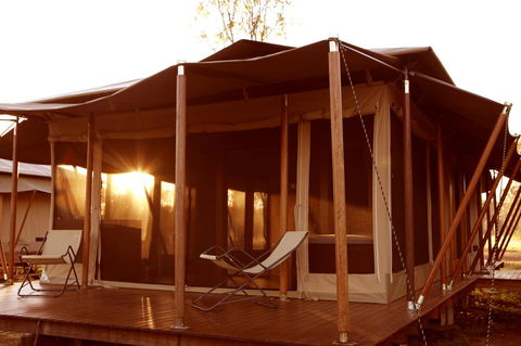 Wildman Wilderness Lodge - Accommodation Georgetown 6