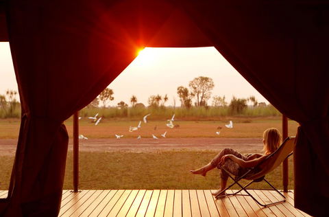 Wildman Wilderness Lodge - Accommodation Georgetown 12