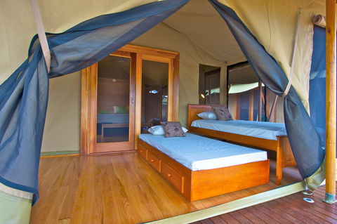 Wildman Wilderness Lodge - Accommodation Georgetown 8
