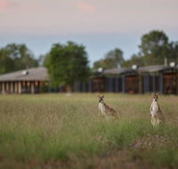 Wildman Wilderness Lodge - Accommodation Georgetown