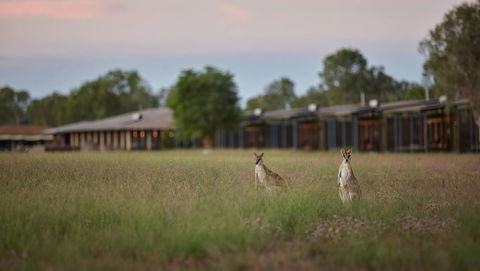Wildman Wilderness Lodge - Accommodation Georgetown 0