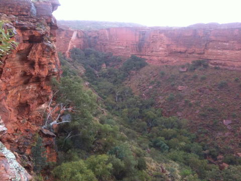 Discovery Resorts - Kings Canyon - Accommodation Georgetown 34