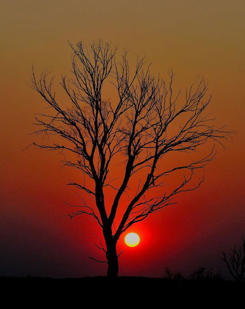 Discovery Resorts - Kings Canyon - Accommodation Georgetown 43