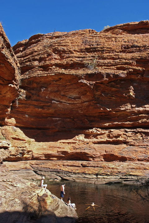 Discovery Resorts - Kings Canyon - Accommodation Georgetown 44