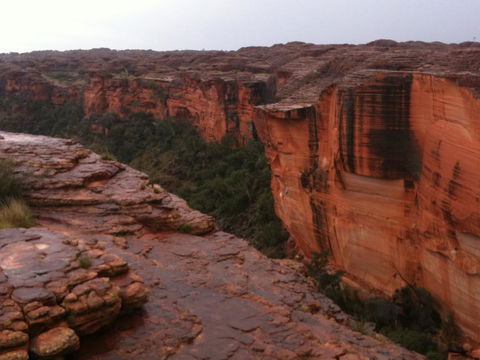 Discovery Resorts - Kings Canyon - Accommodation Georgetown 35