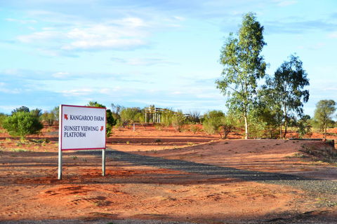 Erldunda Desert Oaks Resort - Accommodation Georgetown 28