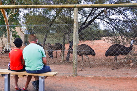 Erldunda Desert Oaks Resort - Accommodation Georgetown 21