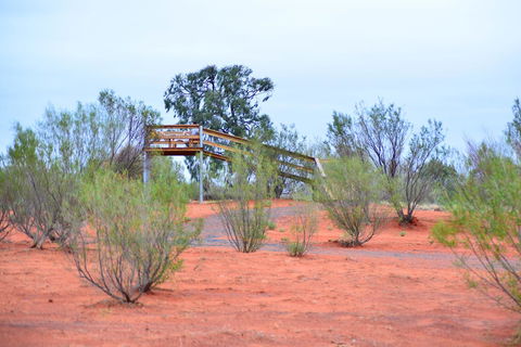 Erldunda Desert Oaks Resort - Accommodation Georgetown 42