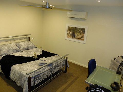 Rock Wallaby - Accommodation Georgetown 9