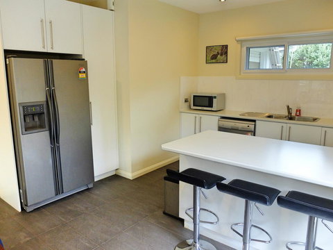 Rock Wallaby - Accommodation Georgetown 1