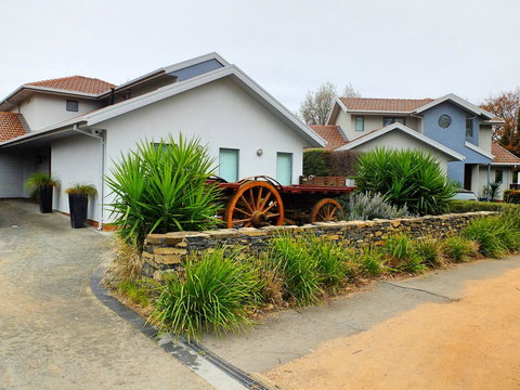 Rock Wallaby - Accommodation Georgetown 5