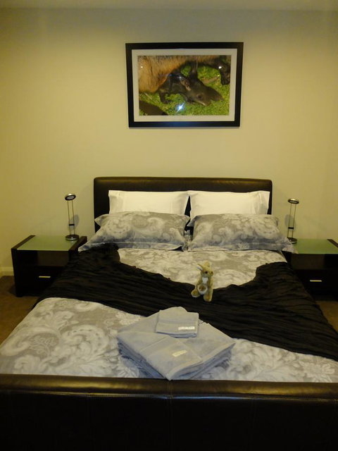 Rock Wallaby - Accommodation Georgetown 18