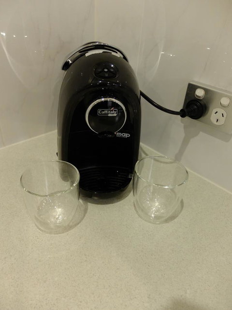 Rock Wallaby - Accommodation Georgetown 11