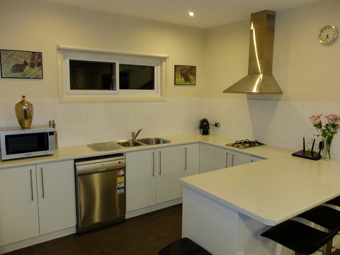 Rock Wallaby - Accommodation Georgetown 12