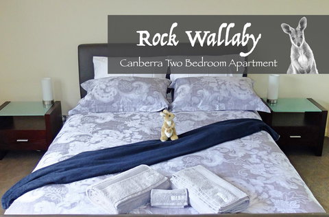 Rock Wallaby - Accommodation Georgetown 4