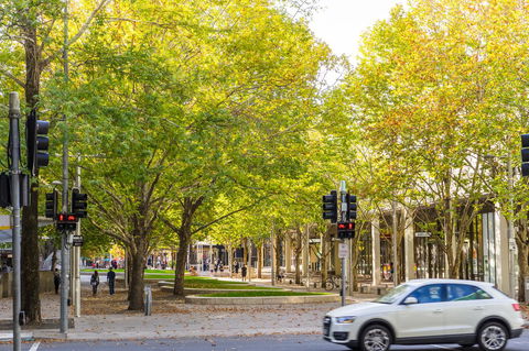 Highgate Executive Apartment City Walk Canberra - Accommodation Georgetown 37
