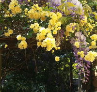 Bowral Road Bed and Breakfast - Accommodation Georgetown