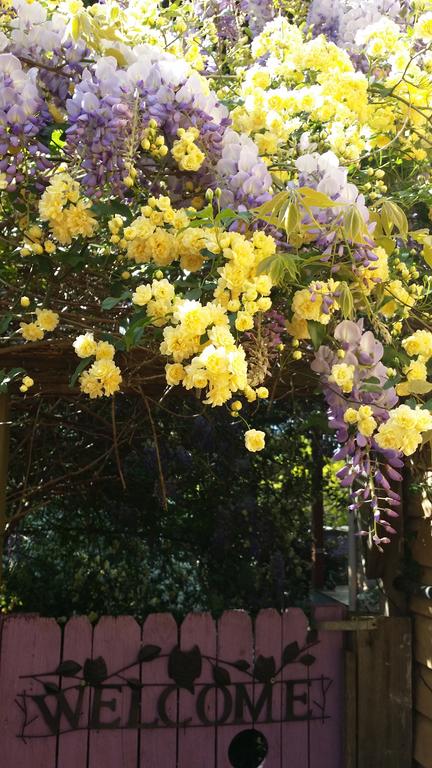 Bowral Road Bed And Breakfast - Accommodation Georgetown 0