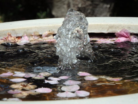 Bowral Road Bed And Breakfast - Accommodation Georgetown 2