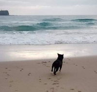 Breakers at Mudjimba Beach - Accommodation Georgetown