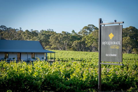 Brockenchack Vineyard Bed & Breakfast - Accommodation Georgetown 2