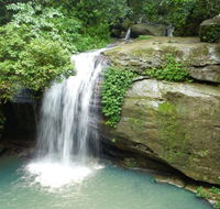 Buderim Forest Hideaway - Accommodation Georgetown