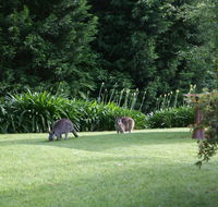 Bundanoon 2578 - Accommodation Georgetown