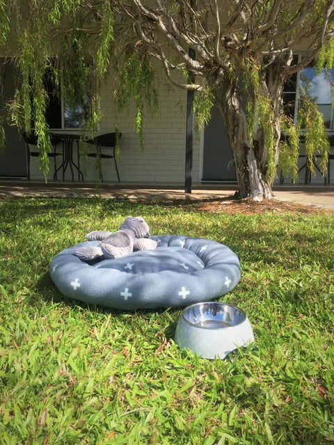 Cardwell At The Beach - Accommodation Georgetown 3