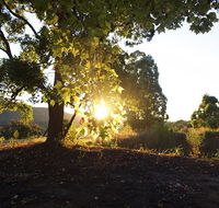 Clarendon Forest Retreat - Accommodation Georgetown