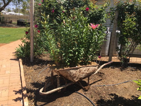 Club Boutique Hotel Cunnamulla - Accommodation Georgetown 3