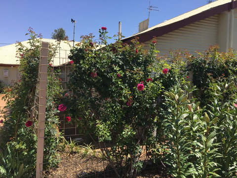 Club Boutique Hotel Cunnamulla - Accommodation Georgetown 2