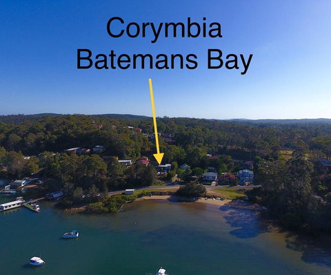 Corymbia Batemans Bay - Accommodation Georgetown 1