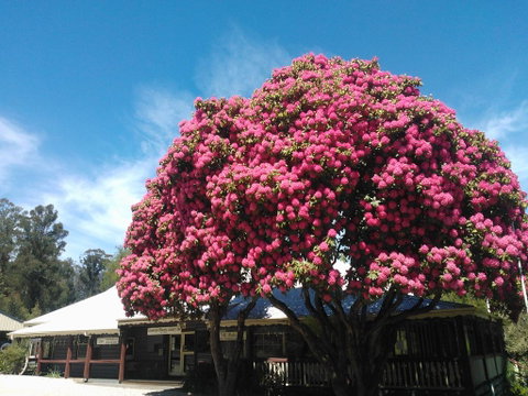 Crossways Country Inn - Accommodation Georgetown 0