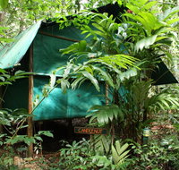 Daintree Crocodylus - Accommodation Georgetown