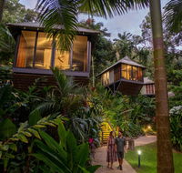 Daintree Ecolodge - Accommodation Georgetown