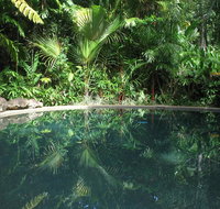 Daintree Rainforest Retreat Motel - Accommodation Georgetown