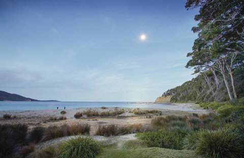 Depot Beach Cabins - Accommodation Georgetown 1
