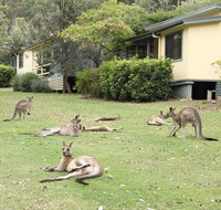 Depot Beach Cabins - Accommodation Georgetown