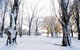 Discovery Parks - Jindabyne - thumb 3
