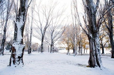 Discovery Parks - Jindabyne - Accommodation Georgetown 3