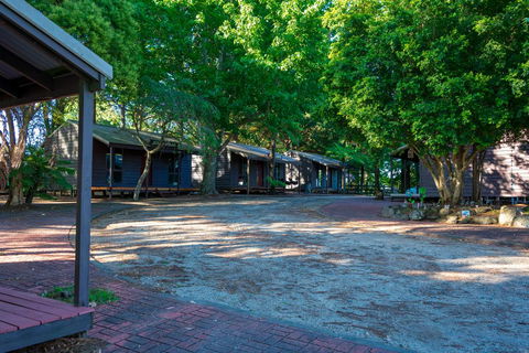 Dorrigo Mountain Holiday Park - Accommodation Georgetown 1