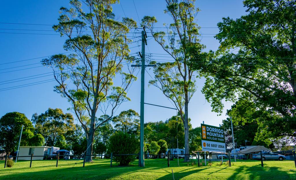 Dorrigo NSW Accommodation Georgetown