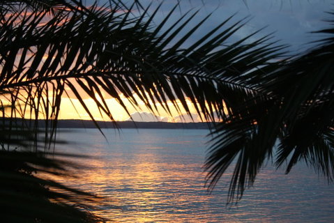Edgewater Gardens Batemans Bay - Accommodation Georgetown 3