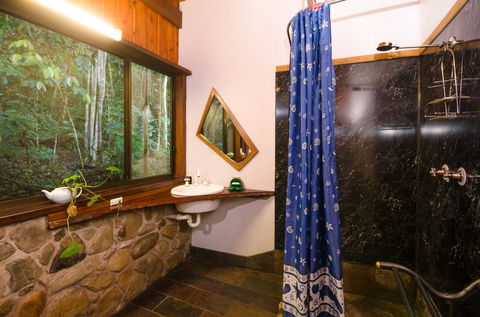 Epiphyte B & B - Accommodation Georgetown 1