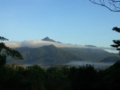 Epiphyte B & B - Accommodation Georgetown 0