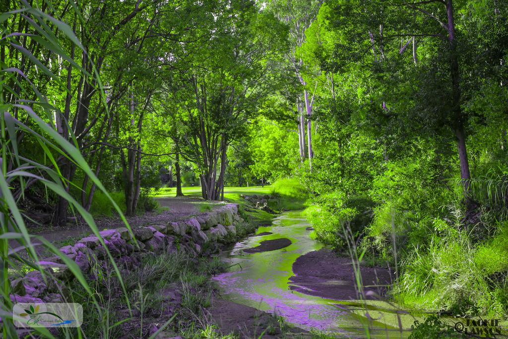 Esk QLD Accommodation Georgetown
