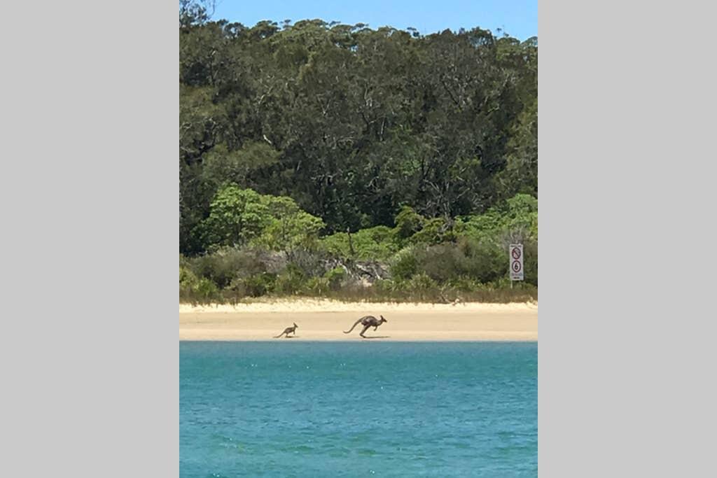 Beecroft Peninsula NSW Accommodation Georgetown