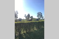 Book Benalla Accommodation Vacations Accommodation Georgetown Accommodation Georgetown