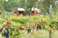 Fergies Hill Spa Cottage  Granite Ridge Wines