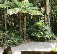 Forest Views Daintree - Accommodation Georgetown